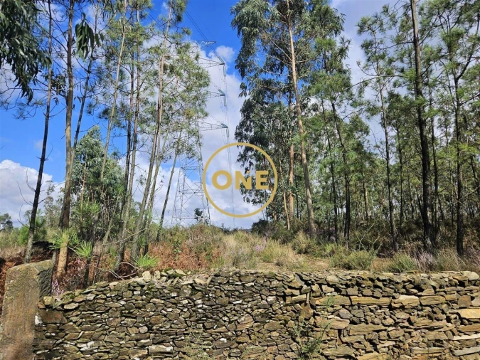 Terreno para Venda em Balazar Foto 3