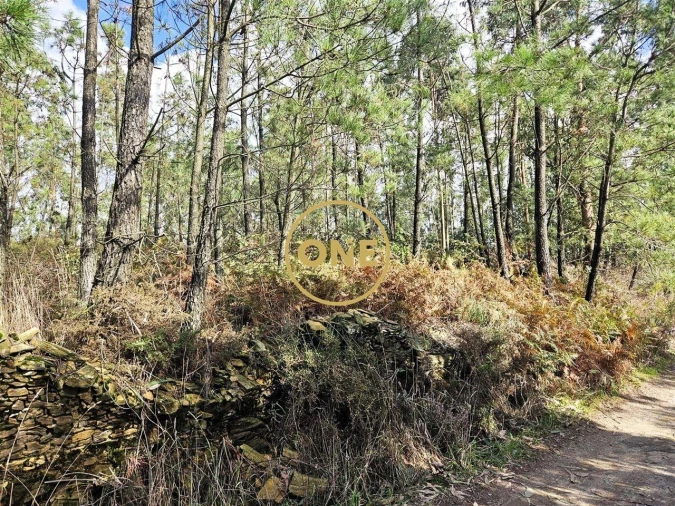 Terreno para Venda em Balazar Foto 15
