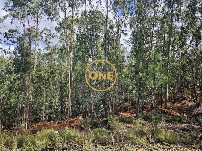 Terreno para Venda em Balazar Foto 9