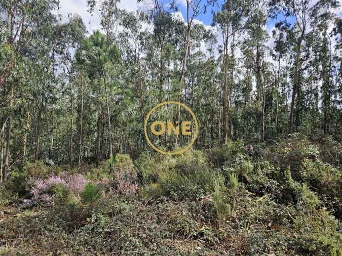 Terreno para Venda em Balazar Foto 10