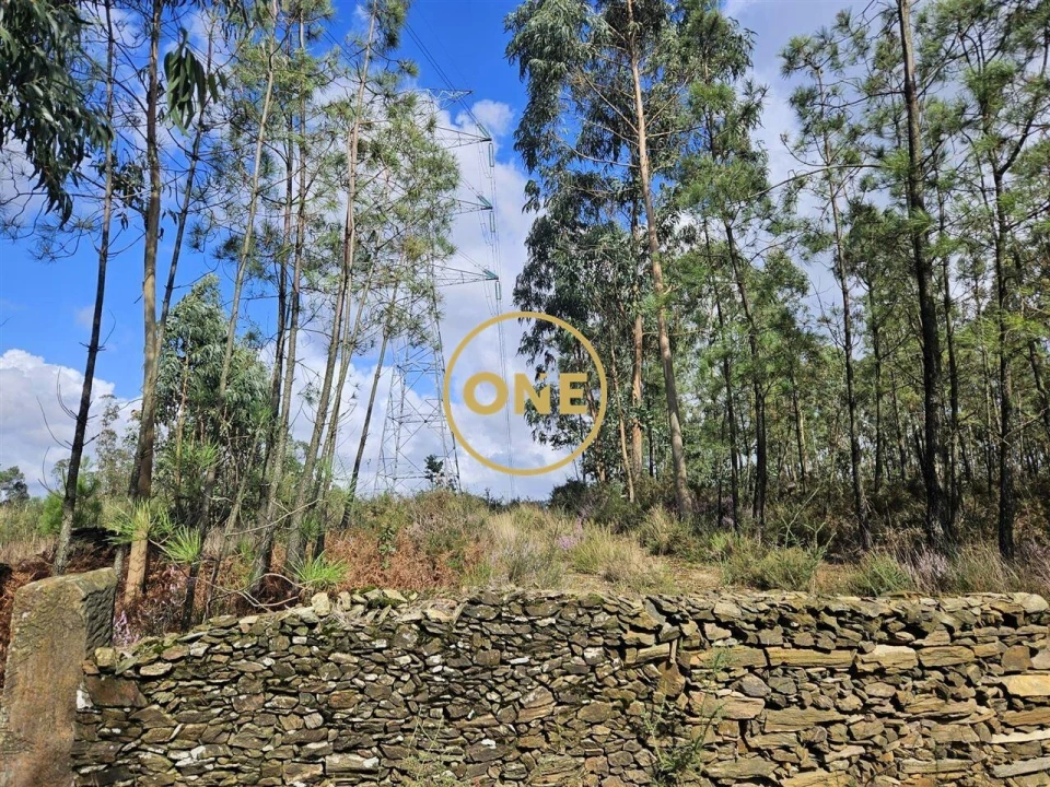 Terreno para Venda em Balazar Foto 3