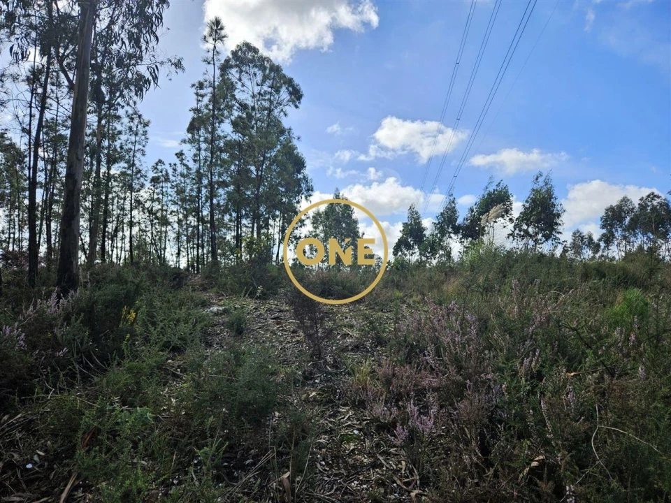 Terreno para Venda em Balazar Foto 12