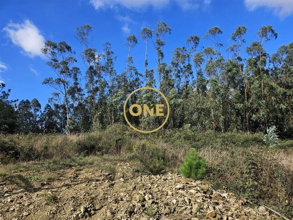 Terreno para Venda em Balazar Foto 1