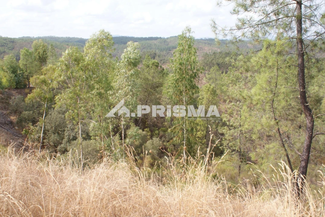 Terreno para Venda em Benquerenças Foto 1