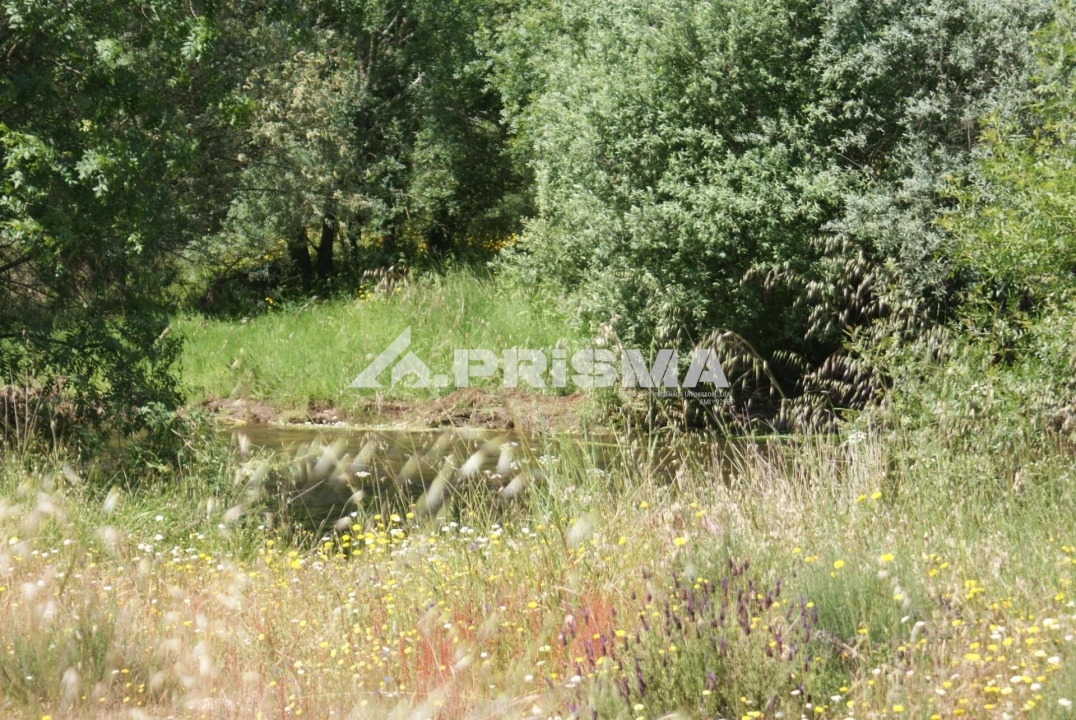Terreno para Venda em Benquerenças Foto 21