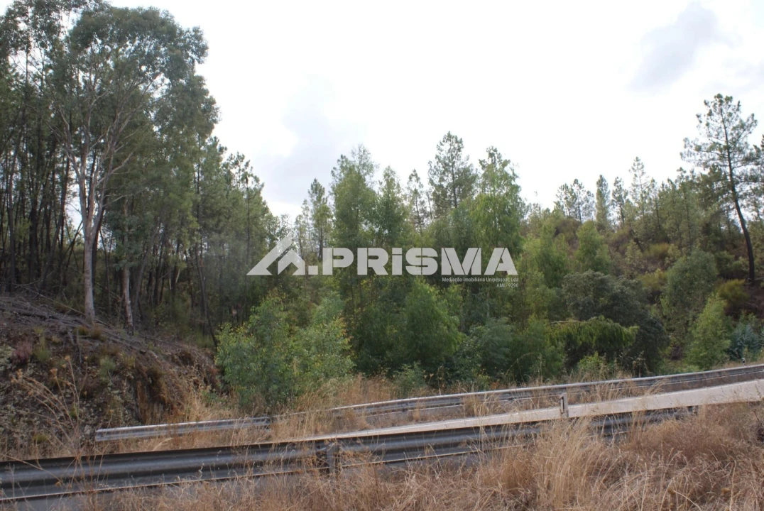 Terreno para Venda em Benquerenças Foto 14