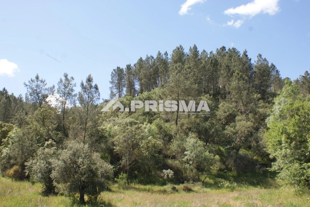 Terreno para Venda em Benquerenças Foto 29