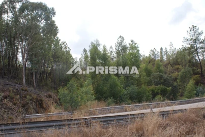Terreno para Venda em Benquerenças