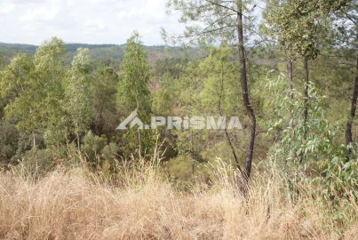 Terreno para Venda em Benquerenças