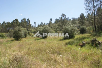 Terreno para Venda em Benquerenças