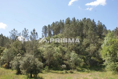 Terreno para Venda em Benquerenças