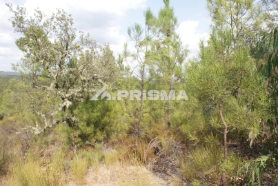 Terreno para Venda em Benquerenças