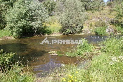 Terreno para Venda em Benquerenças