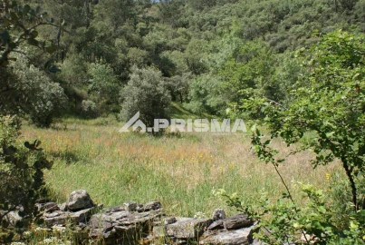 Terreno para Venda em Benquerenças