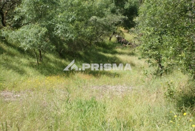 Terreno para Venda em Benquerenças