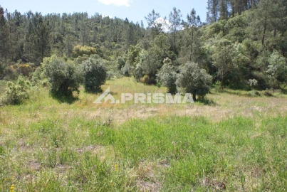 Terreno para Venda em Benquerenças