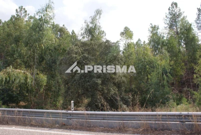 Terreno para Venda em Benquerenças
