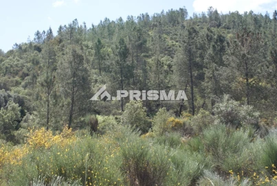 Terreno para Venda em Benquerenças