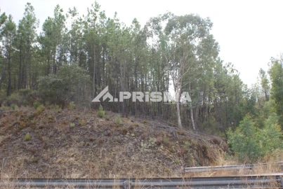 Terreno para Venda em Benquerenças