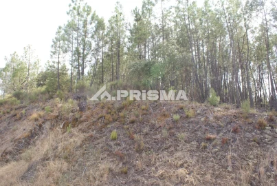 Terreno para Venda em Benquerenças