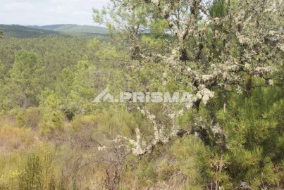 Terreno para Venda em Benquerenças