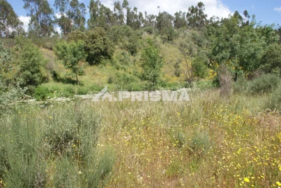 Terreno para Venda em Benquerenças
