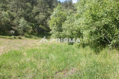 Terreno para Venda em Benquerenças
