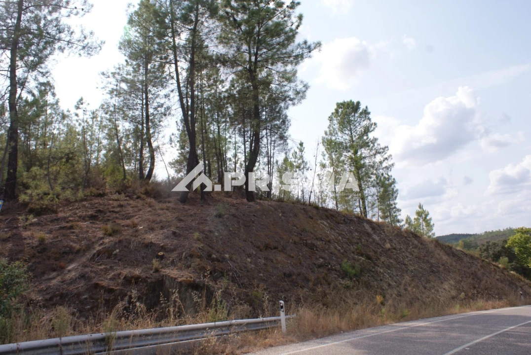 Terreno para Venda em Benquerenças Foto 12