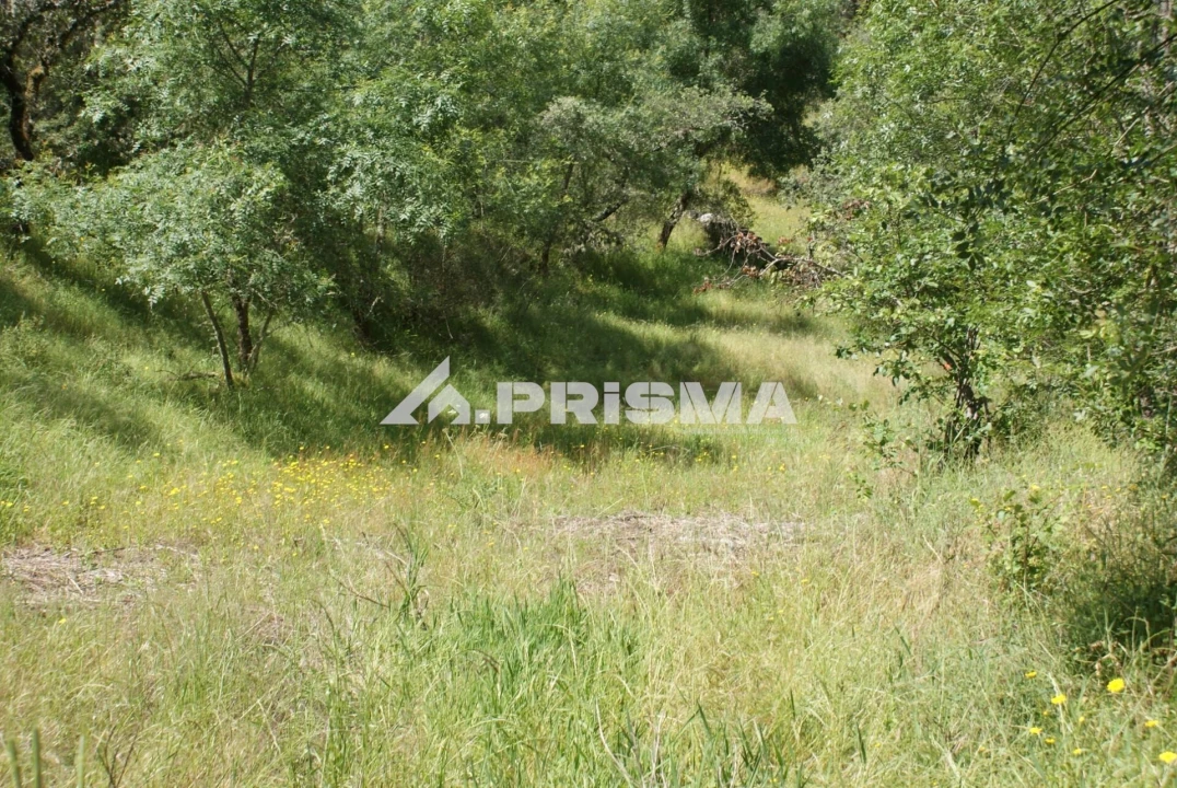 Terreno para Venda em Benquerenças Foto 32