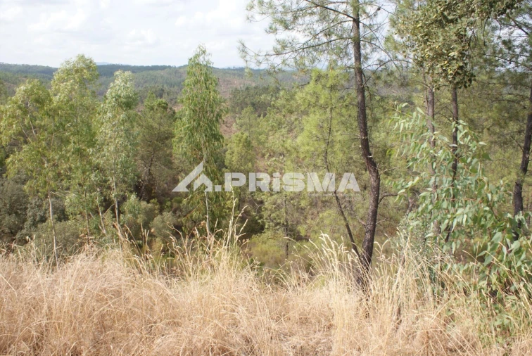 Terreno para Venda em Benquerenças Foto 3