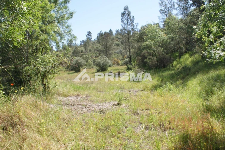 Terreno para Venda em Benquerenças Foto 35