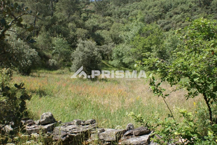 Terreno para Venda em Benquerenças Foto 24