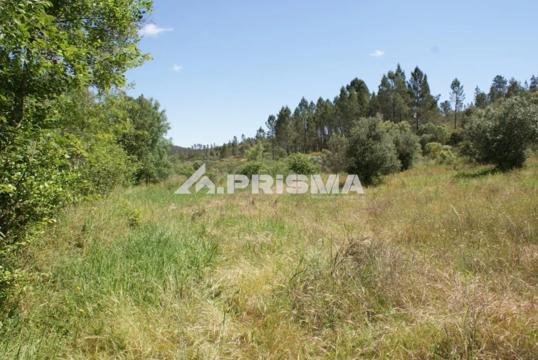 Terreno para Venda em Benquerenças Foto 36
