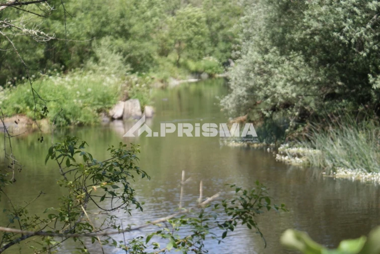 Terreno para Venda em Benquerenças Foto 33