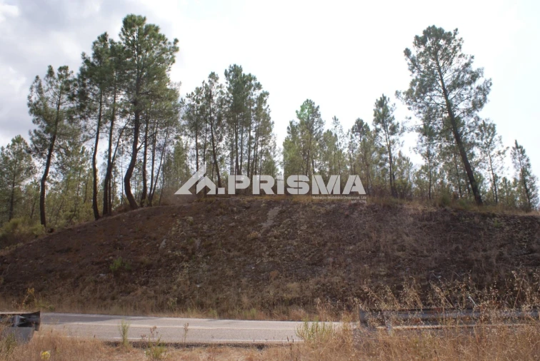 Terreno para Venda em Benquerenças Foto 13