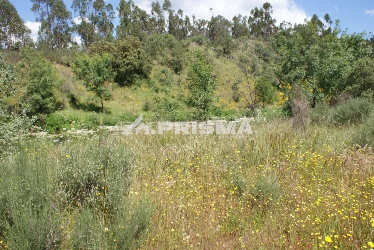 Terreno para Venda em Benquerenças Foto 16