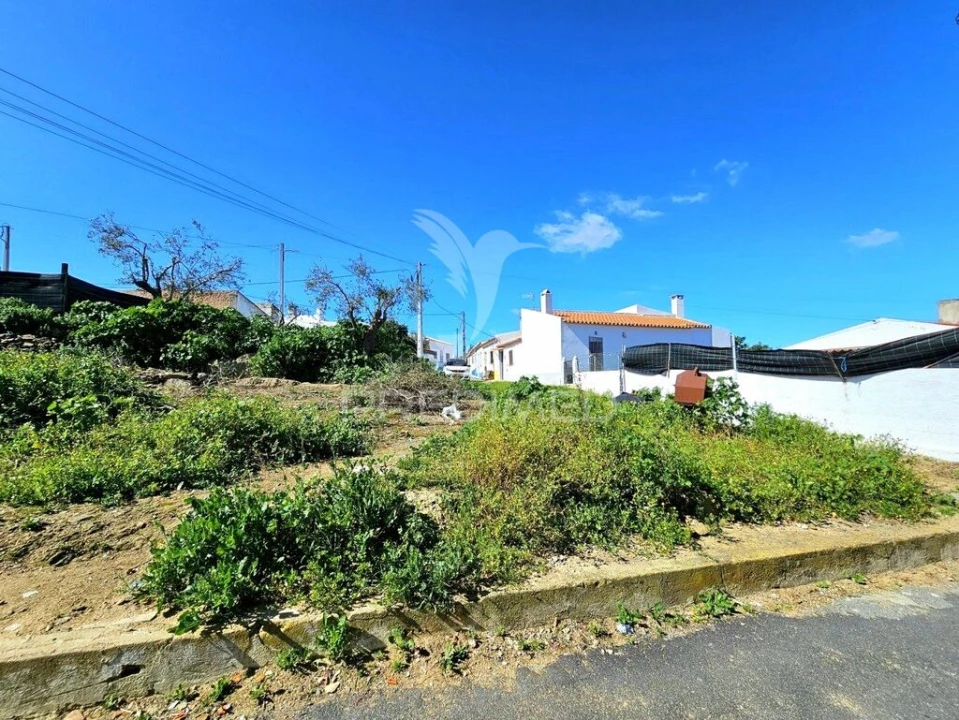Terreno para Venda em Castro Verde e Casével Foto 3