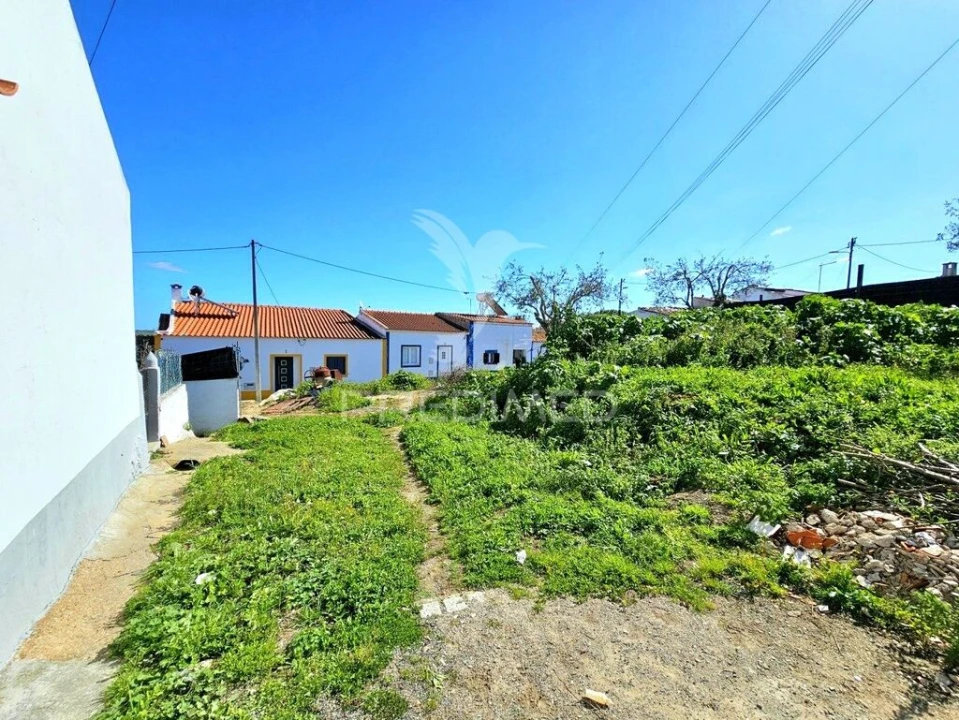 Terreno para Venda em Castro Verde e Casével Foto 1