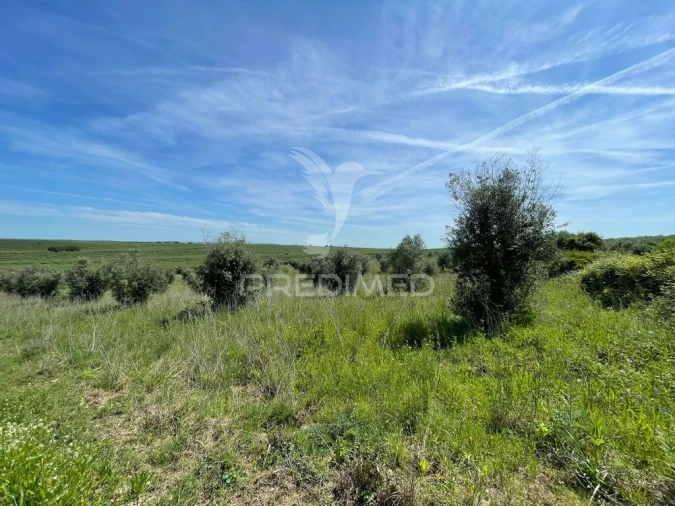 Terreno para Venda em Avis Foto 2