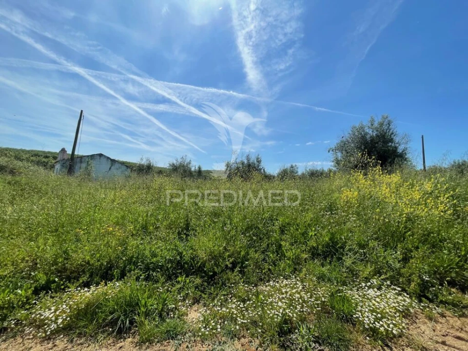 Terreno para Venda em Avis Foto 7