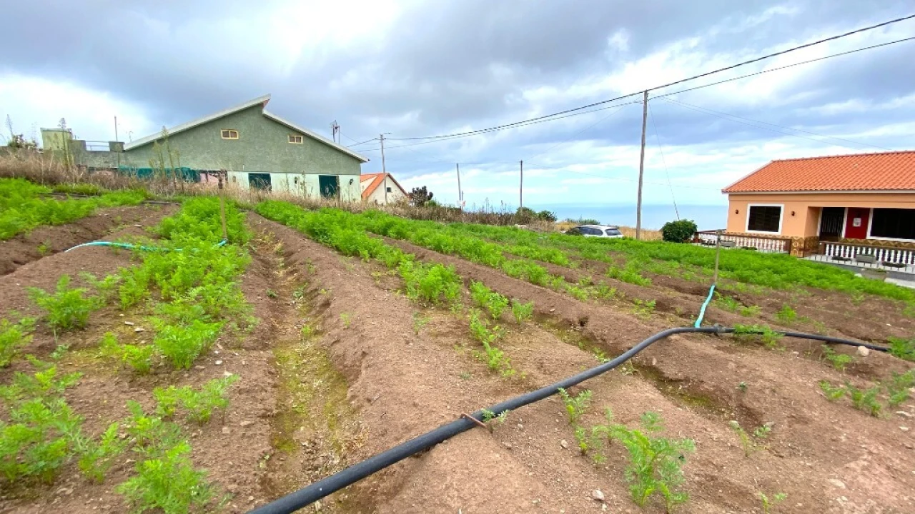 Terreno para Venda em Canhas Foto 10