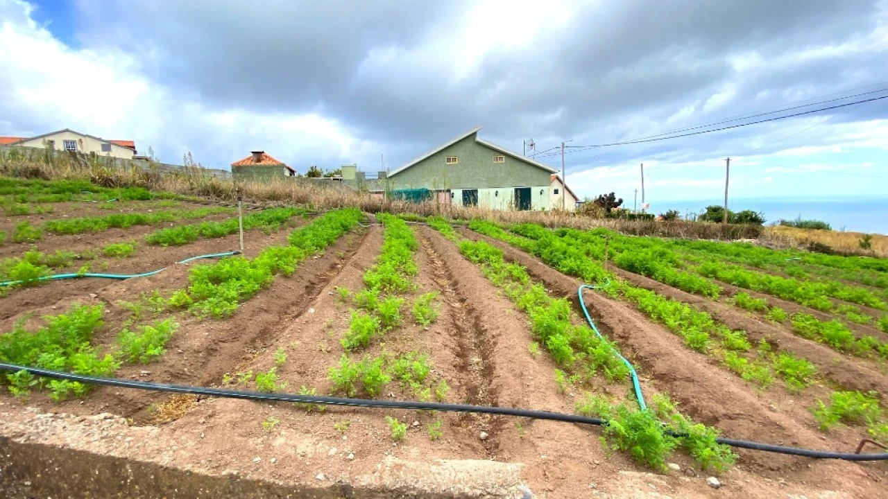Terreno para Venda em Canhas Foto 12