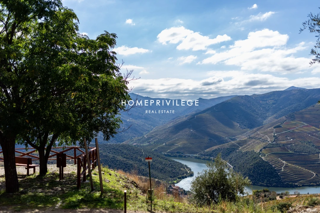 Quinta T4 para Venda em Carrazeda de Ansiães Foto 25