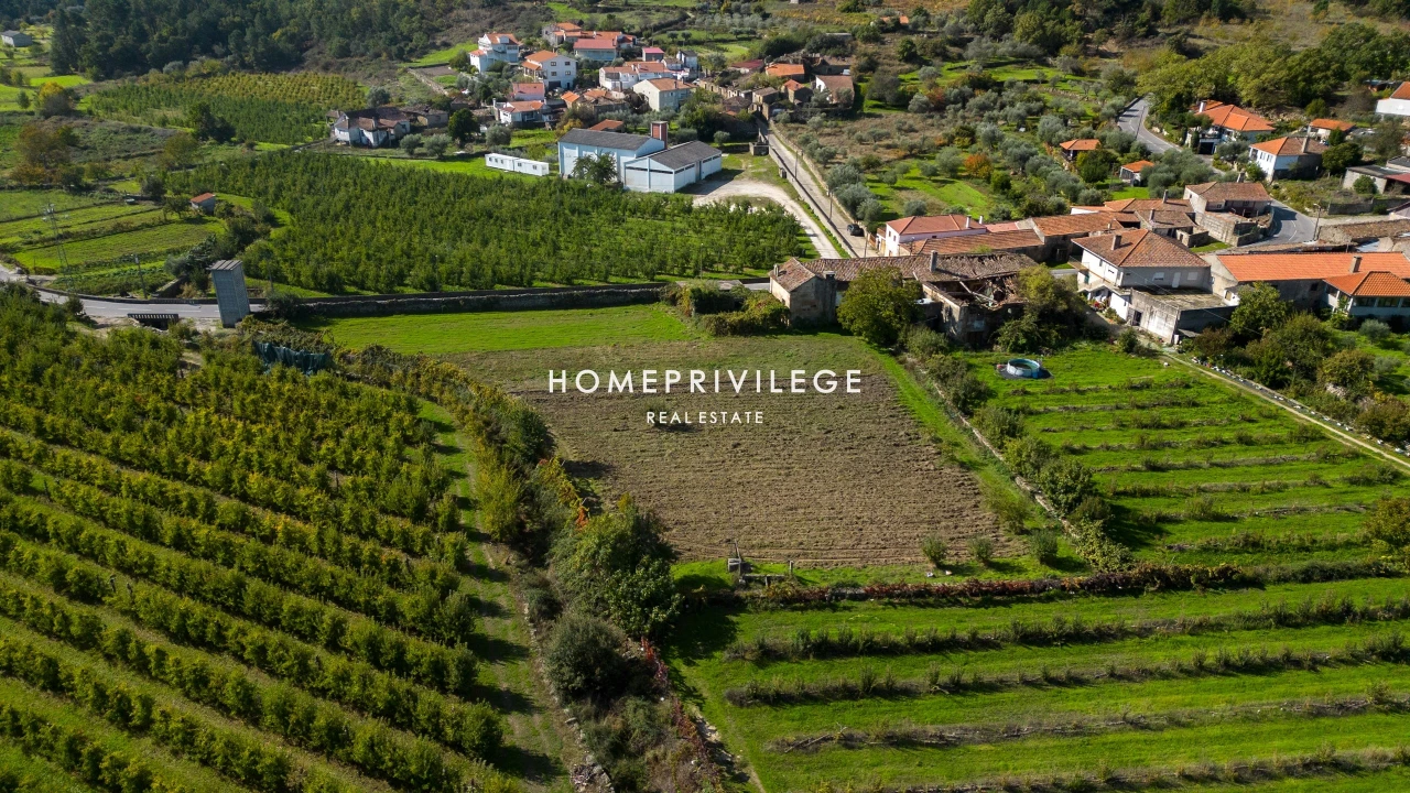 Quinta T4 para Venda em Carrazeda de Ansiães Foto 3