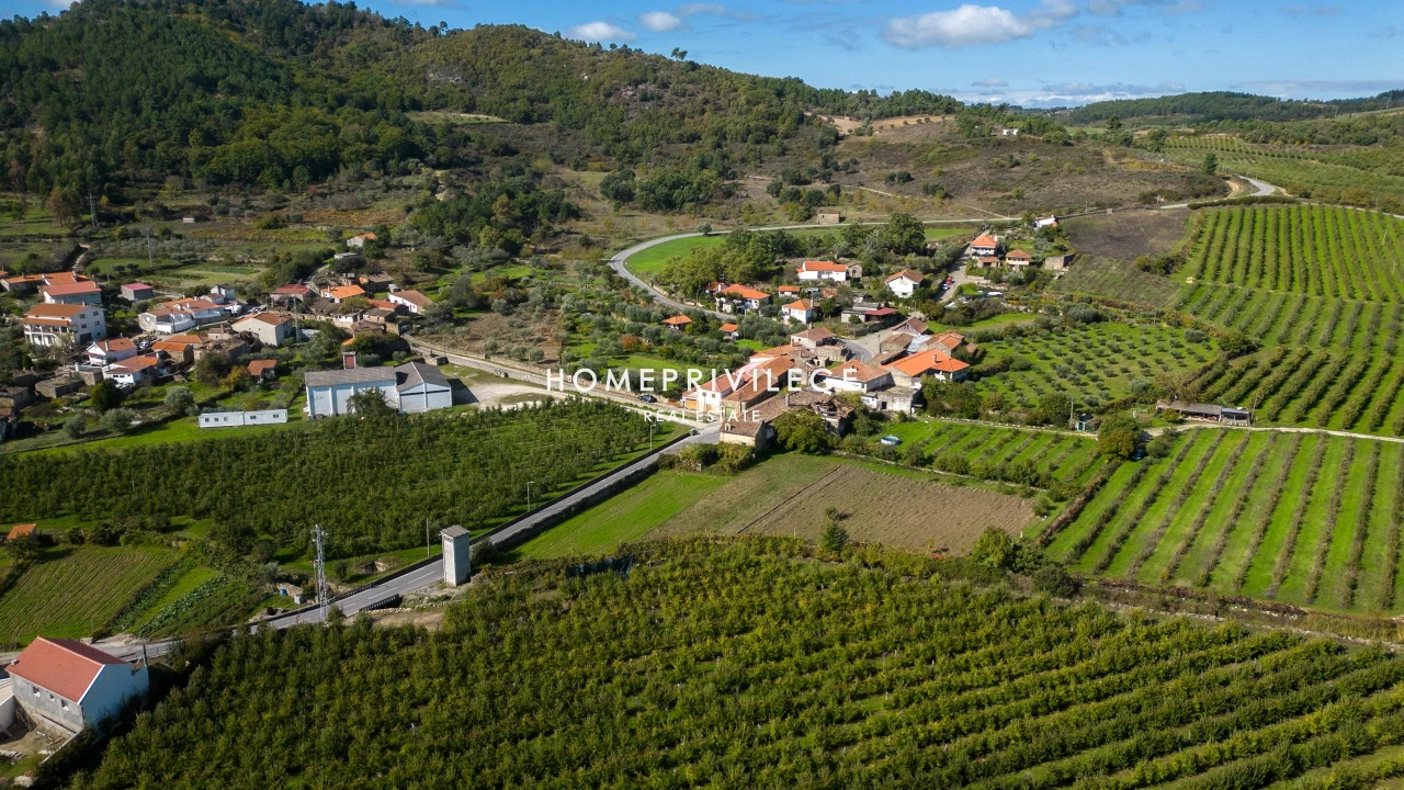 Quinta T4 para Venda em Carrazeda de Ansiães Foto 20