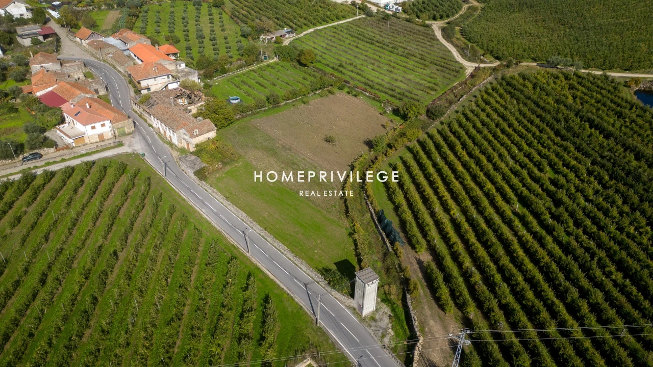 Quinta T4 para Venda em Carrazeda de Ansiães Foto 14