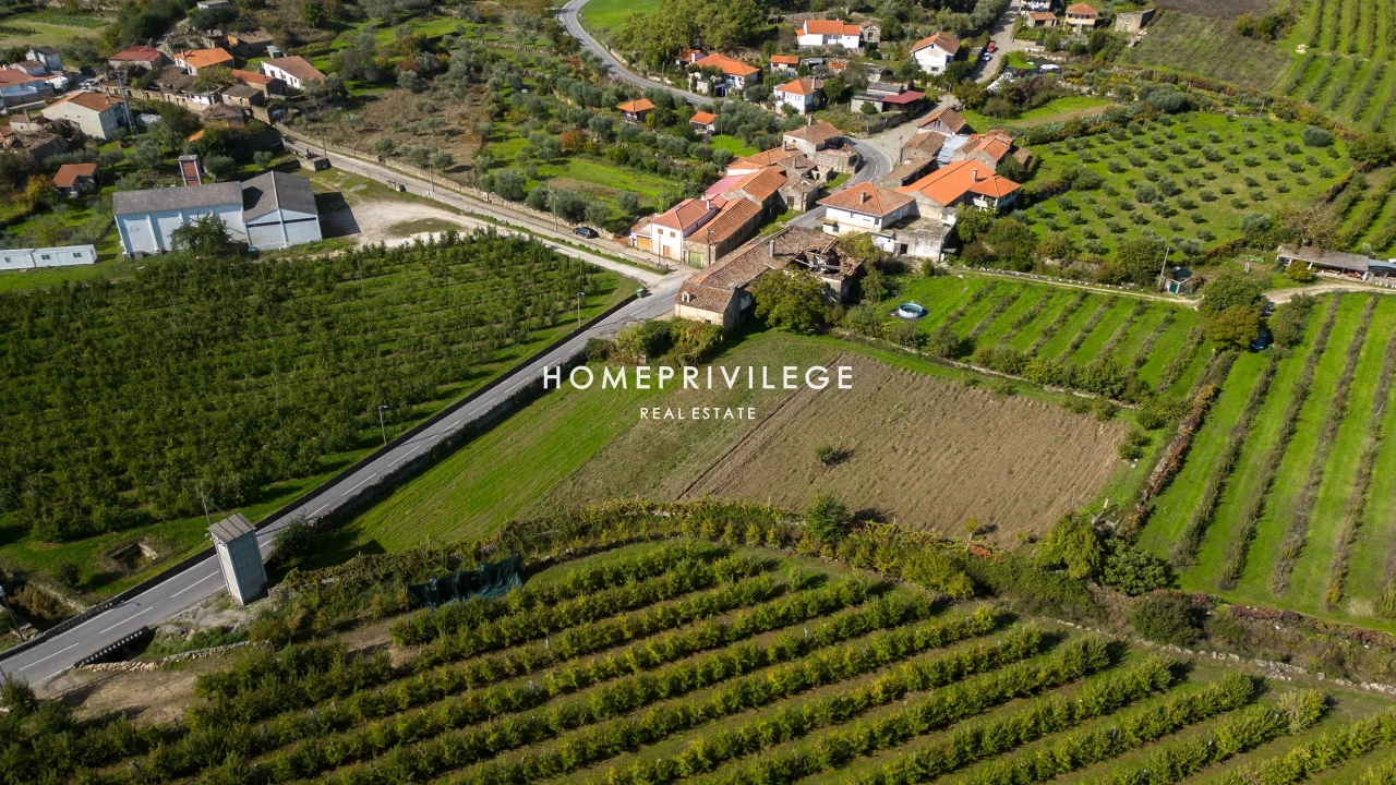 Quinta T4 para Venda em Carrazeda de Ansiães Foto 13