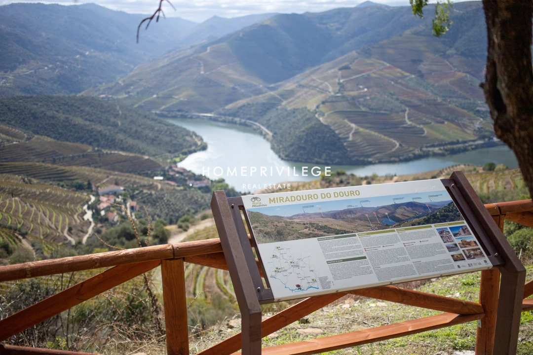 Quinta T4 para Venda em Carrazeda de Ansiães Foto 31