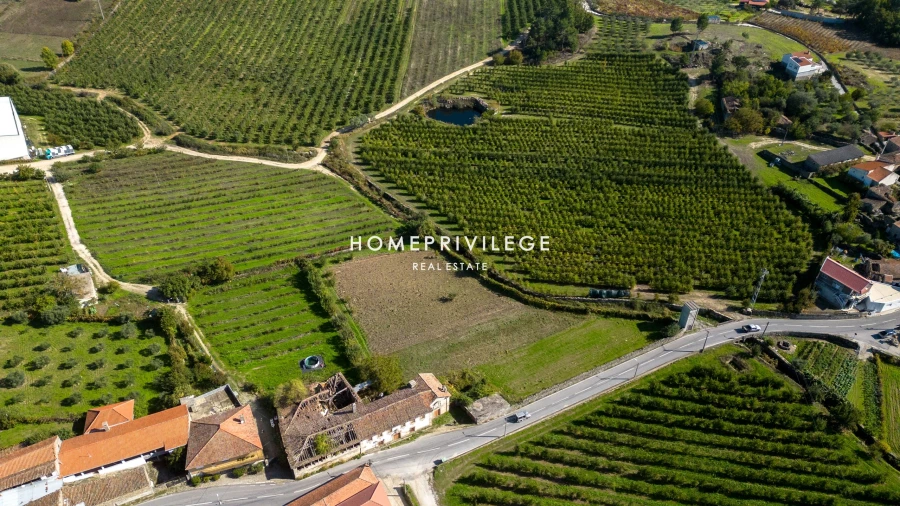 Quinta T4 para Venda em Carrazeda de Ansiães Foto 17