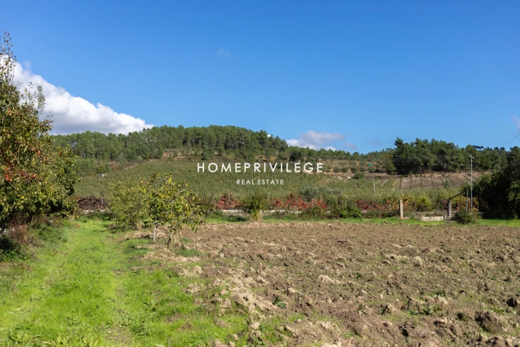 Quinta T4 para Venda em Carrazeda de Ansiães Foto 22